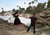 Engagements: 