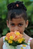 Weddings : 