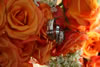 Weddings : 