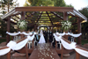Weddings : 