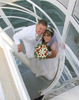 Weddings : 