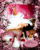 Weddings : 