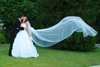 Weddings : 